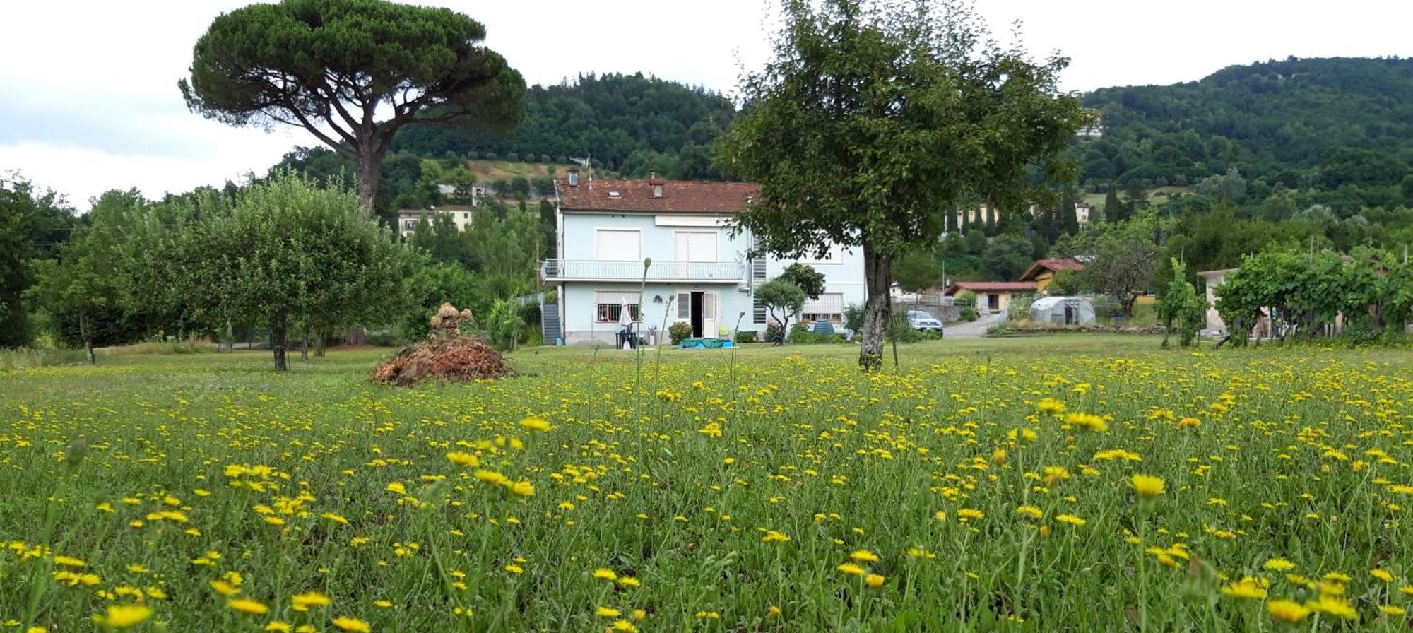 Affittacamere La Foresta Di Sopra Barga Bagian luar foto