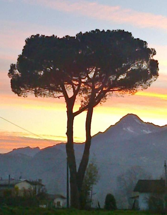 Affittacamere La Foresta Di Sopra Barga Bagian luar foto