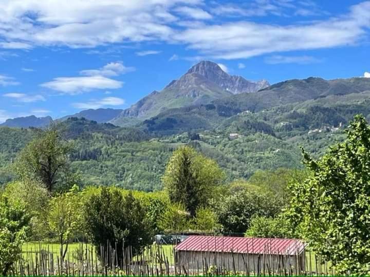 Affittacamere La Foresta Di Sopra Barga Bagian luar foto
