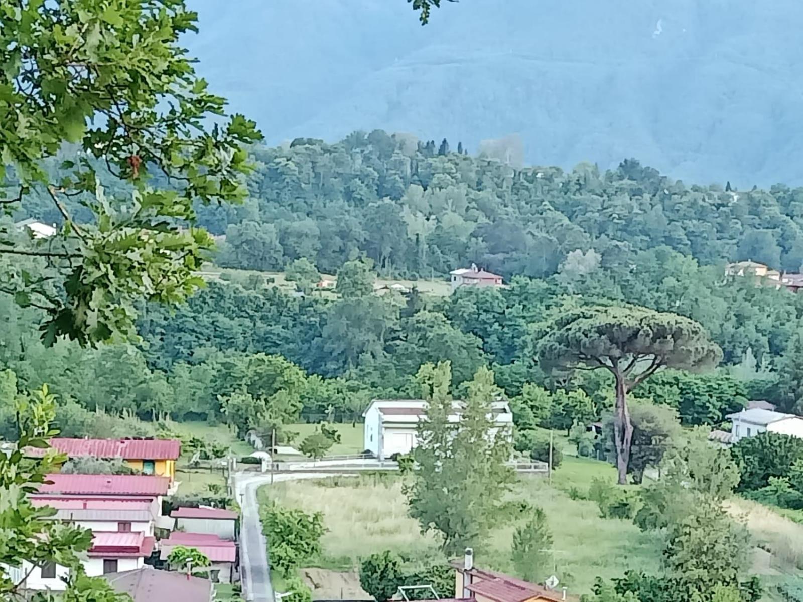 Affittacamere La Foresta Di Sopra Barga Bagian luar foto
